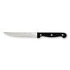 Steak Knife Point Edge Riveted Black Handle